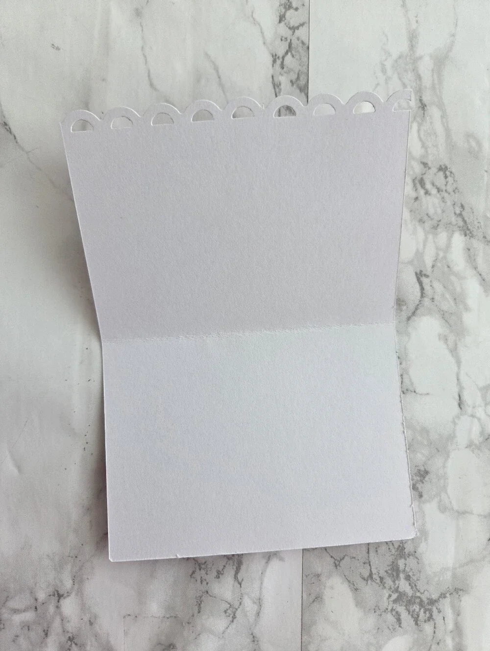 Thank You Cards Envelopes and Stickers